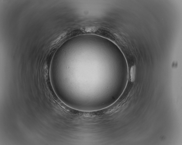 X0000090901443200707301403