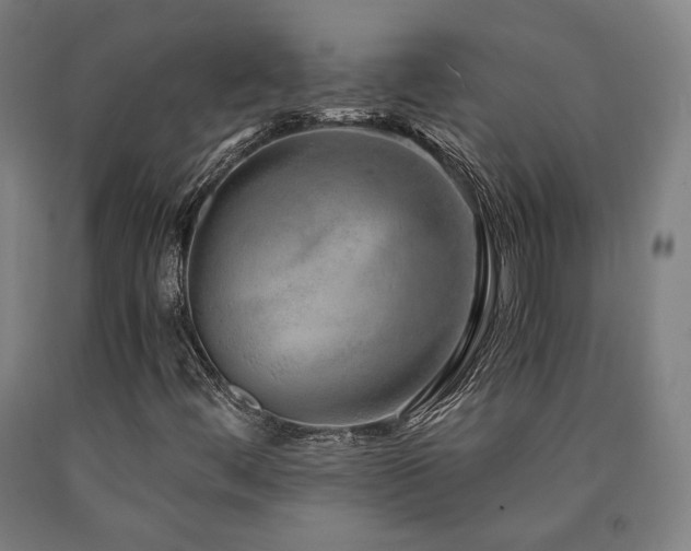 X0000090901444200707301403