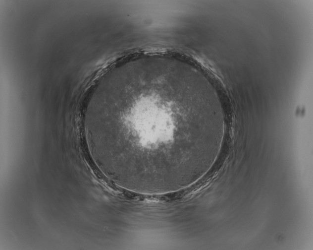 X0000090901445200707301403