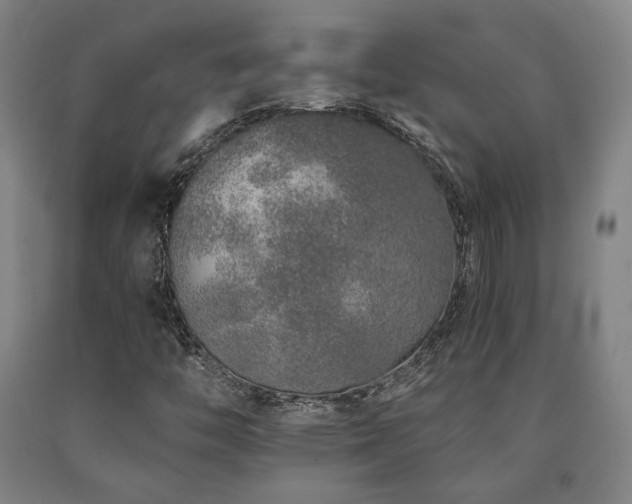 X0000090901446200707301403