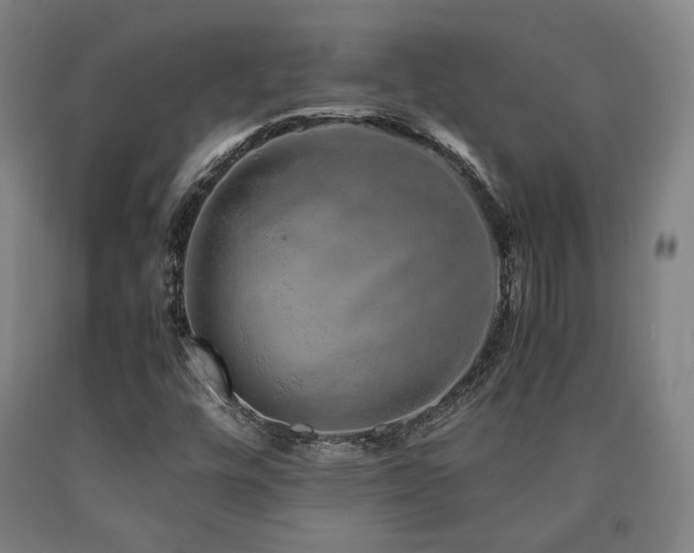 X0000090901448200707301403