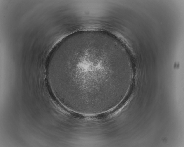X0000090901449200707301403