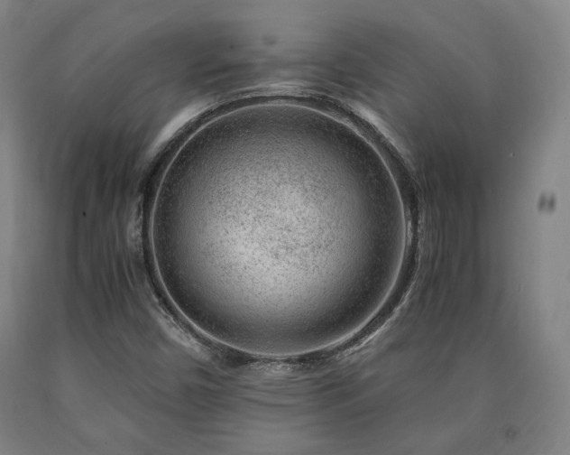 X0000090901450200707301403