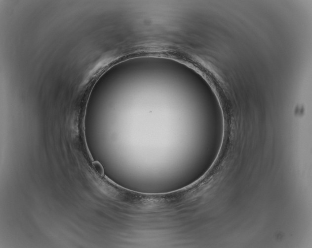 X0000090901451200707301403