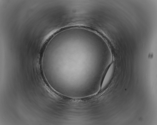 X0000090901452200707301402