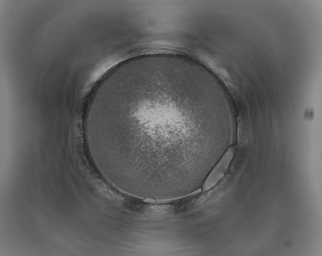 X0000090901453200707301402