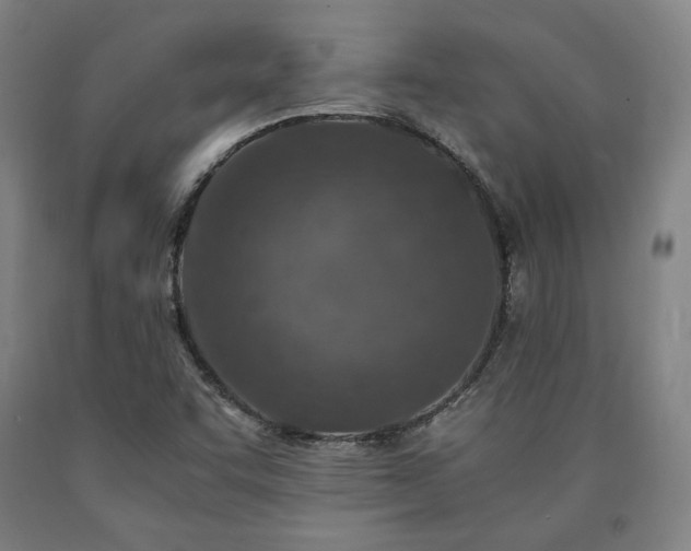 X0000090901455200707301402