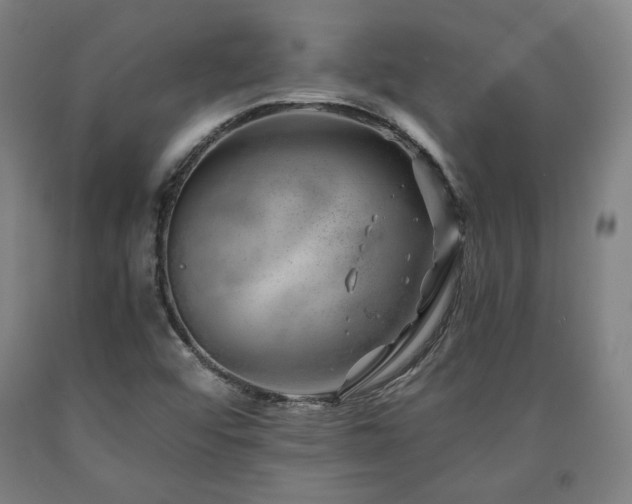 X0000090901456200707301402
