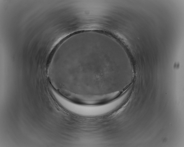 X0000090901457200707301402
