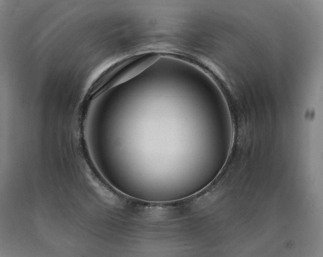 X0000090901458200707301402