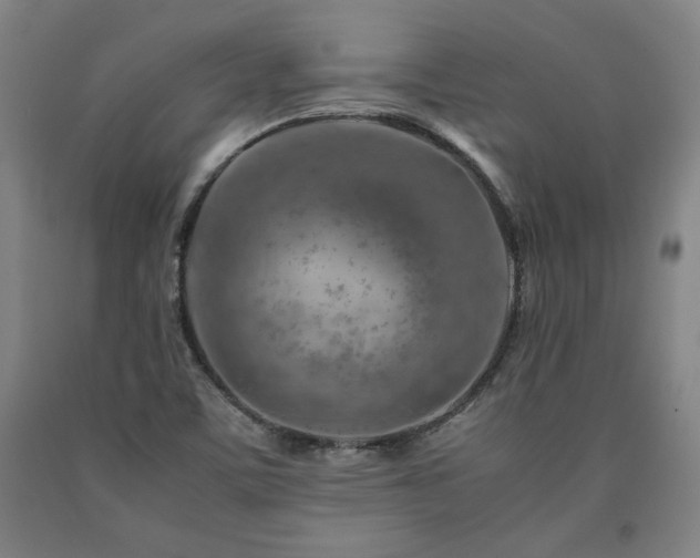 X0000090901459200707301402