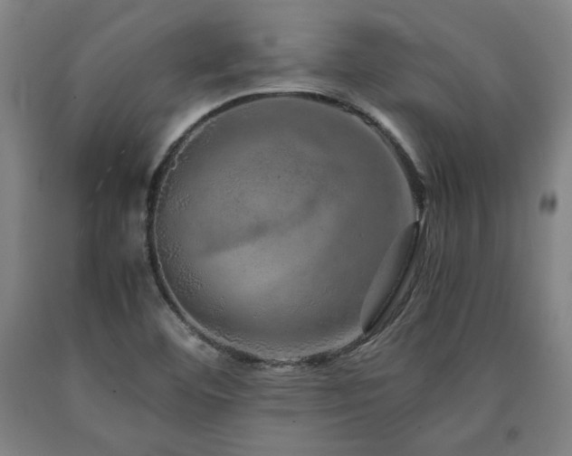 X0000090901460200707301402
