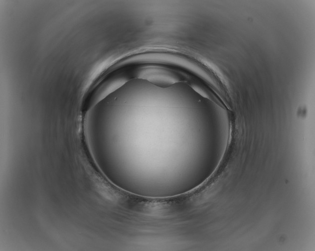 X0000090901461200707301402