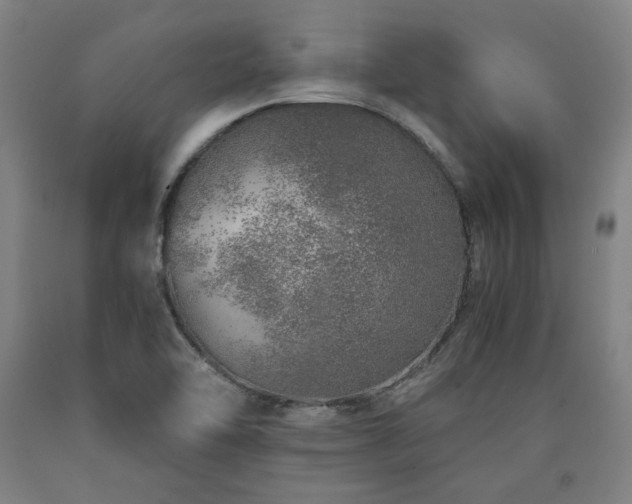 X0000090901462200707301402