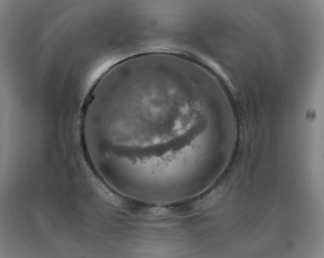 X0000090901463200707301402