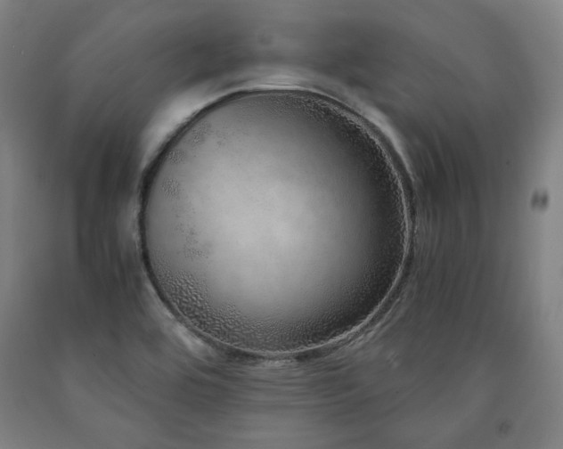 X0000090901464200707301402