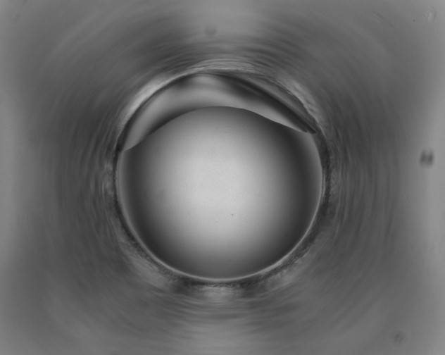 X0000090901465200707301402