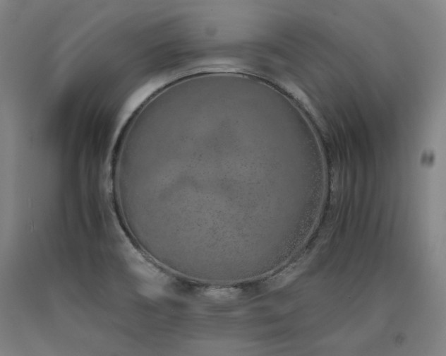 X0000090901466200707301402