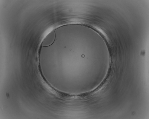 X0000090901467200707301402