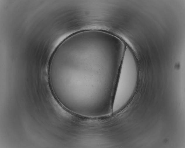 X0000090901468200707301402