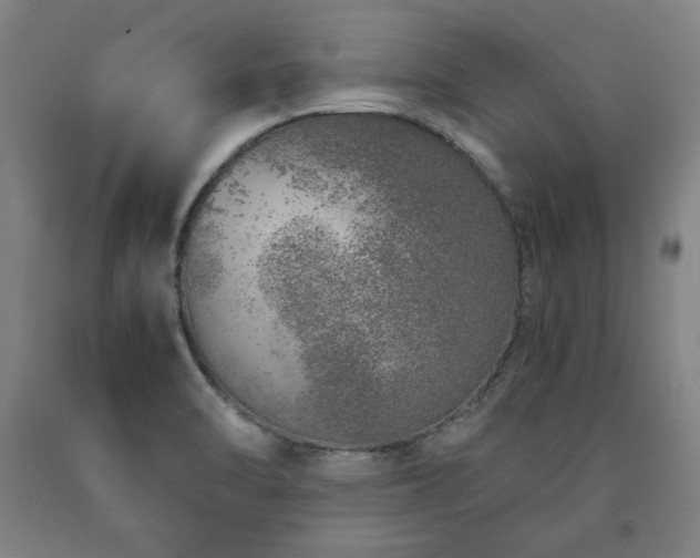 X0000090901470200707301402