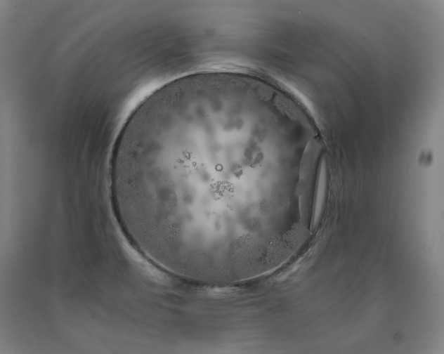 X0000090901471200707301402