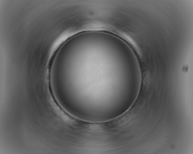 X0000090901472200707301402