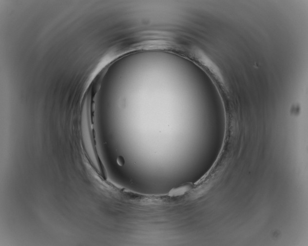 X0000090901473200707301402