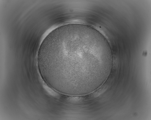 X0000090901474200707301402