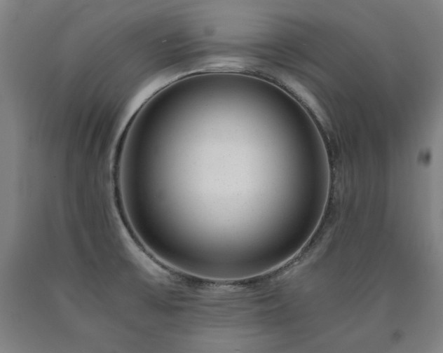 X0000090901475200707301402