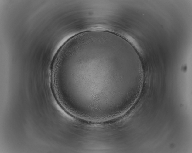 X0000090901476200707301402