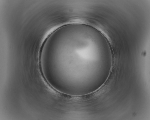 X0000090901477200707301402
