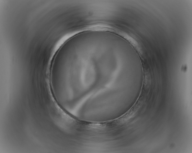 X0000090901478200707301402