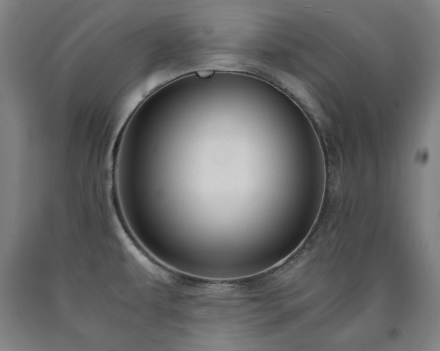 X0000090901479200707301402