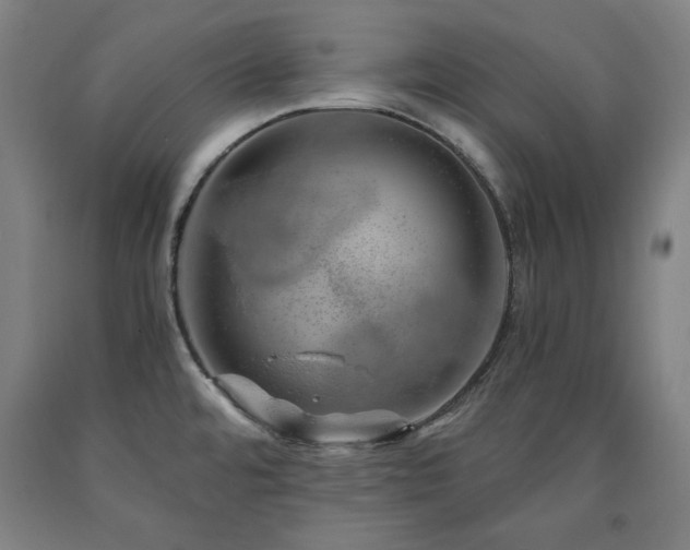X0000090901480200707301402