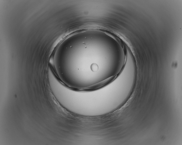 X0000090901481200707301402
