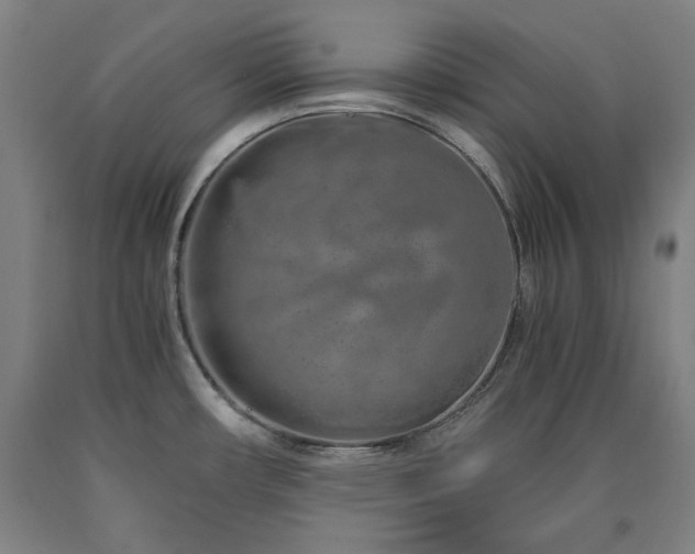 X0000090901482200707301402