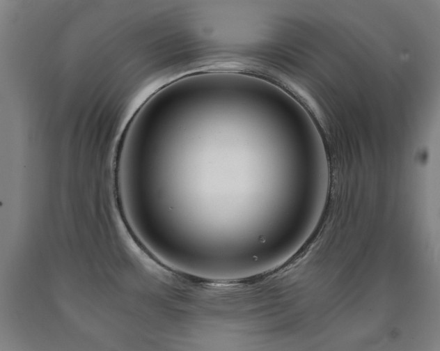 X0000090901483200707301402