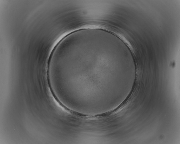 X0000090901484200707301402