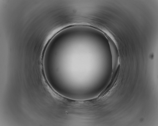 X0000090901485200707301402