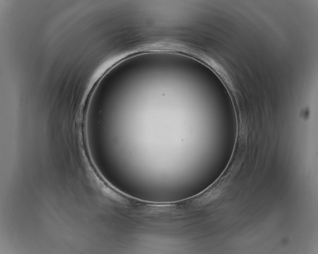 X0000090901486200707301402
