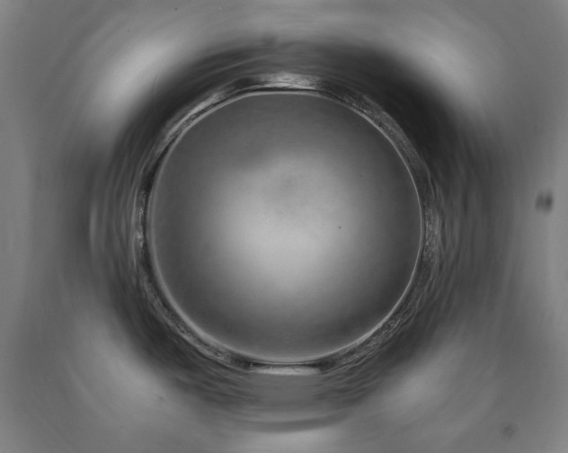 X0000090901487200707301402