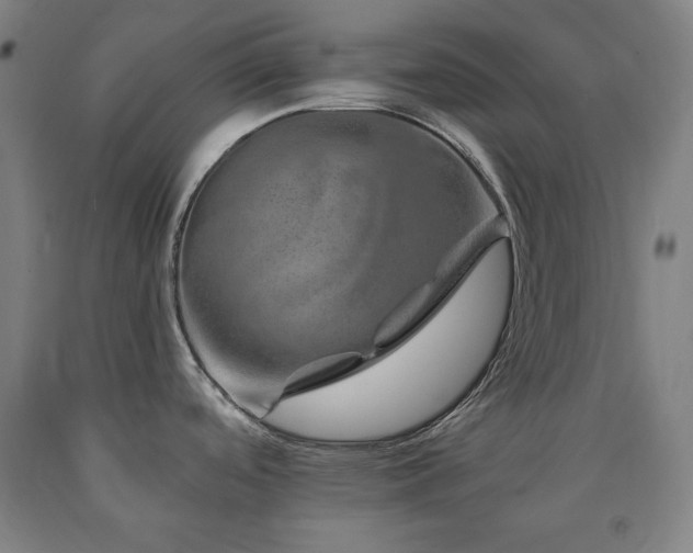 X0000090901488200707301402