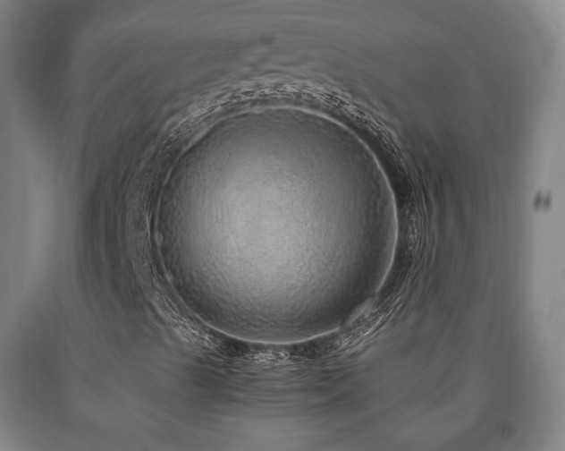 X0000090901489200707301401