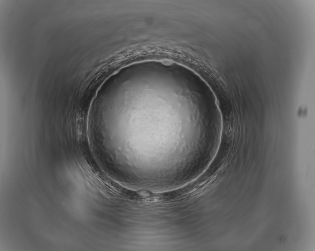 X0000090901490200707301401