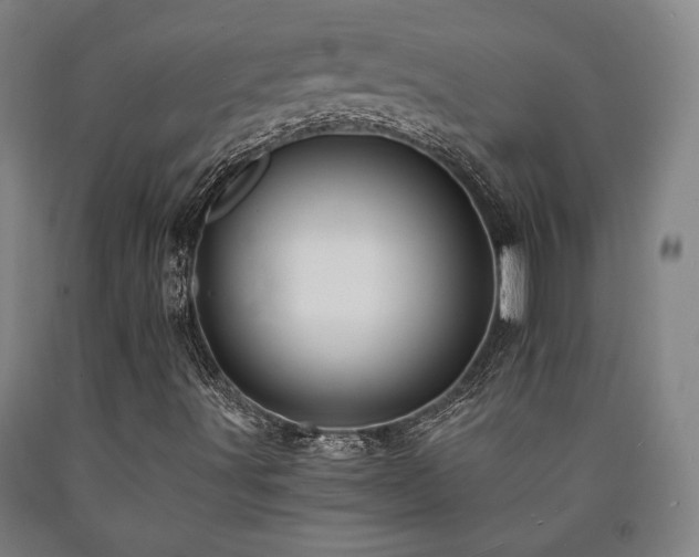 X0000090901491200707301401
