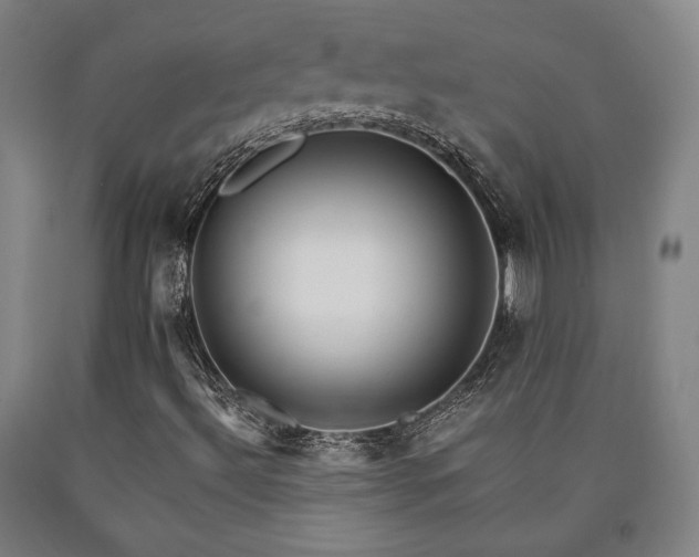 X0000090901492200707301401