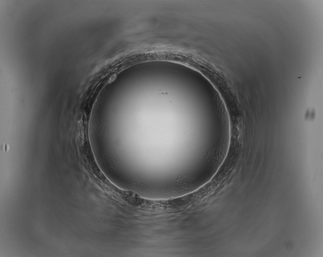 X0000090901493200707301401