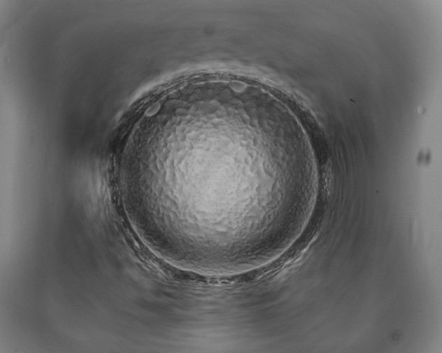 X0000090901494200707301401