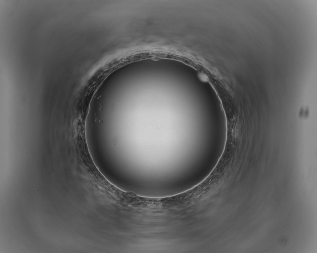 X0000090901495200707301401